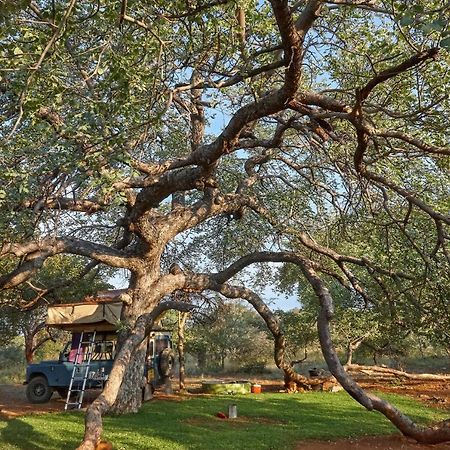 Zuricamp - Campsite Halishi Tsumeb Eksteriør billede
