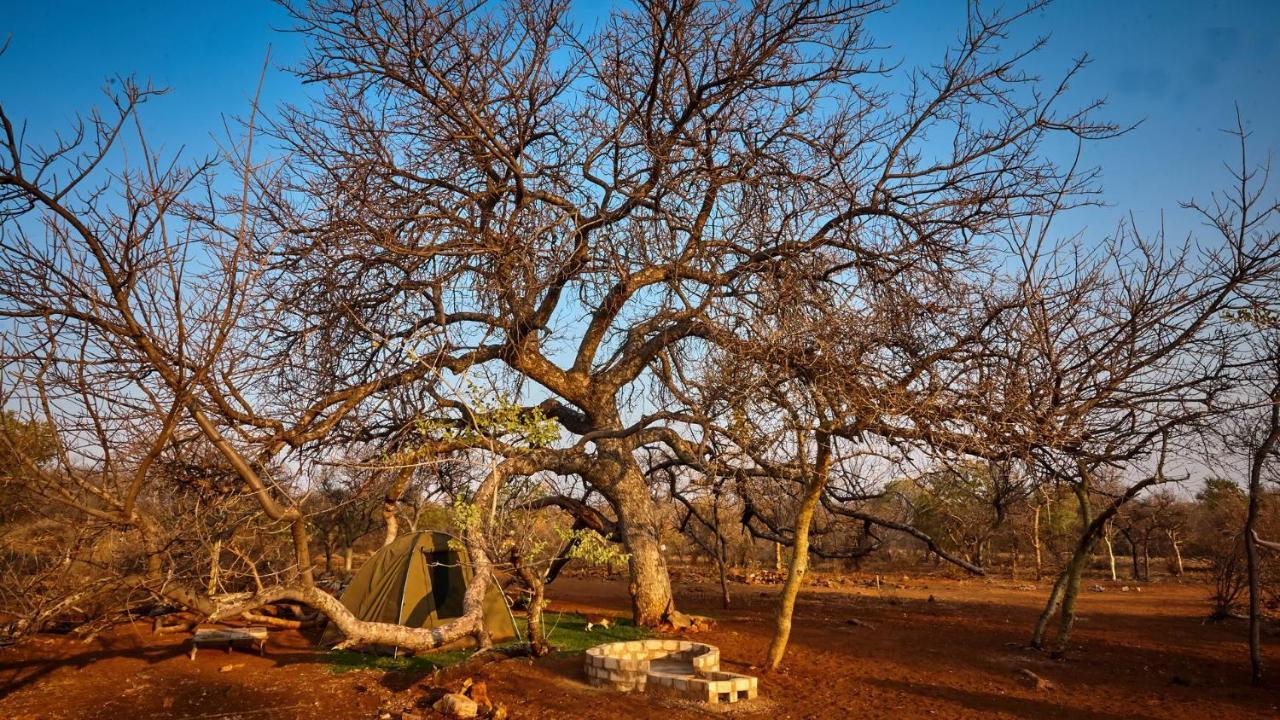 Zuricamp - Campsite Halishi Tsumeb Eksteriør billede